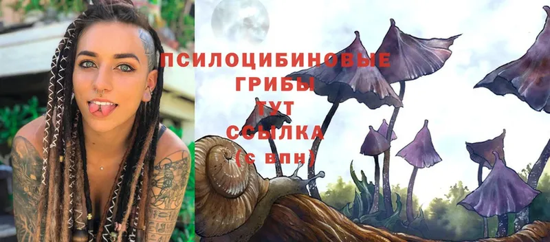 мориарти какой сайт  Бугуруслан  Галлюциногенные грибы Psilocybe  купить  